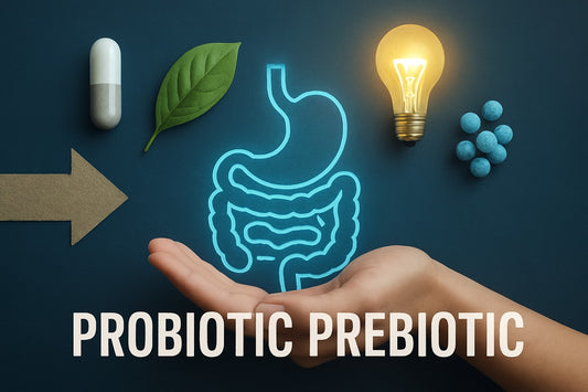 Probiotic Prebiotic Guide: Unlock Gut Health in 2026
