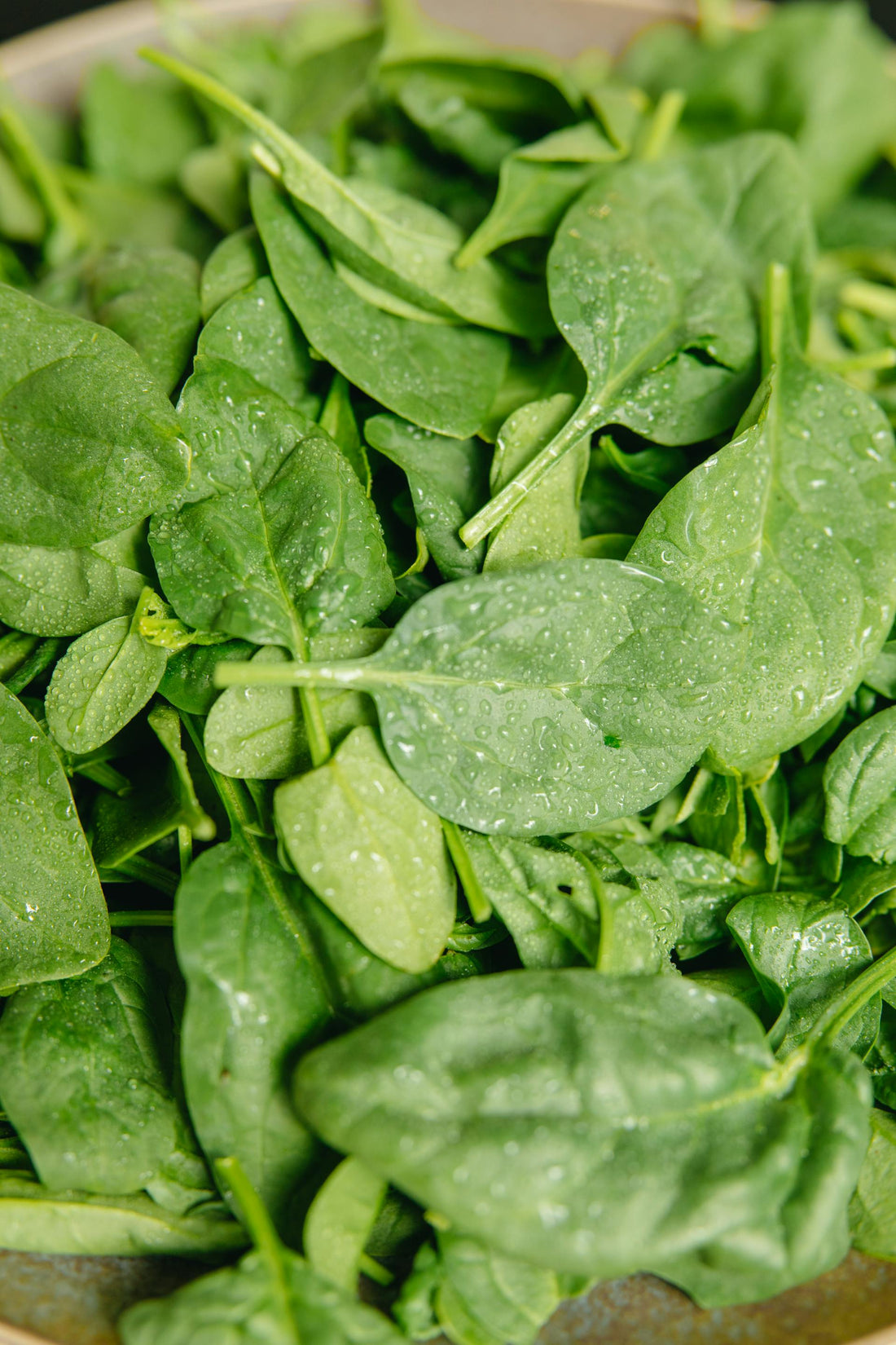 11 Benefits of Spinach + a Delicious Smoothie Recipe You’ll Love