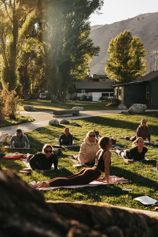 a group of people sitting on top of a lush green field